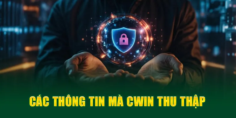 Các thông tin mà Cwin thu thập