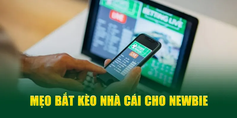 Mẹo bắt kèo cược nhà cái cho newbie