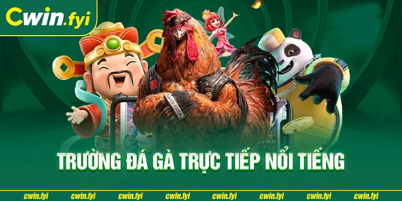 Đá gà tại Cwin luôn được phát trực tiếp với chất lượng vô cùng sắc nét